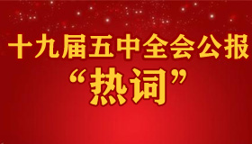 【圖解】十九屆五中全會(huì)公報(bào) 這個(gè)詞出現(xiàn)頻率最高