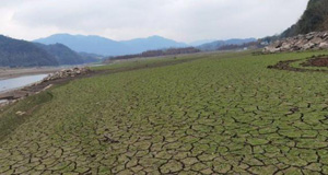 50年一遇！浙江多地旱情嚴(yán)重