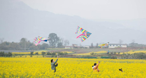 川西平原花季之旅