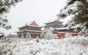 陽(yáng)春白雪 景色誘人