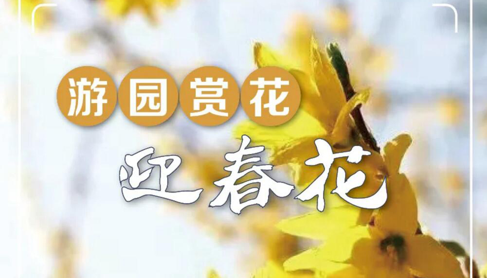 【海報】不負(fù)好春光！來看山西最美花世界