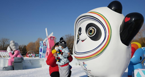 北京市屬公園冰雪游園會(huì)開幕