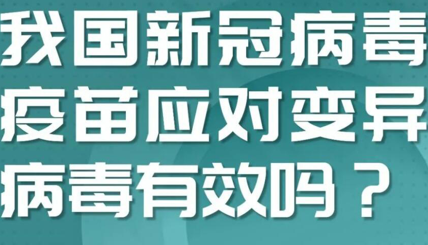 【海報】病毒不斷變異 接種疫苗還有效嗎？