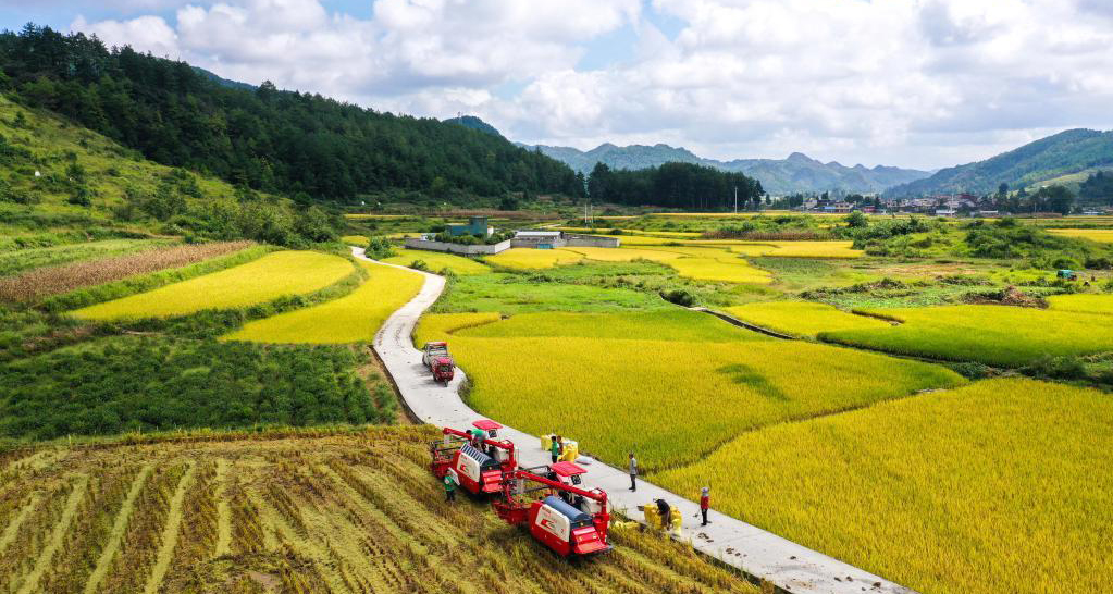 透視2021年中國經(jīng)濟(jì)答卷