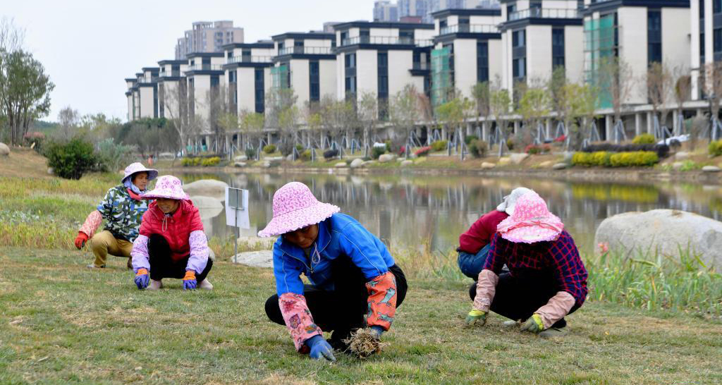 福州：推動(dòng)河湖水系治理打造生態(tài)新家園