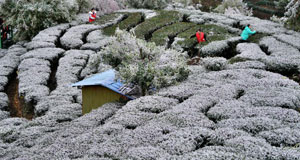 多地迎來(lái)降雪