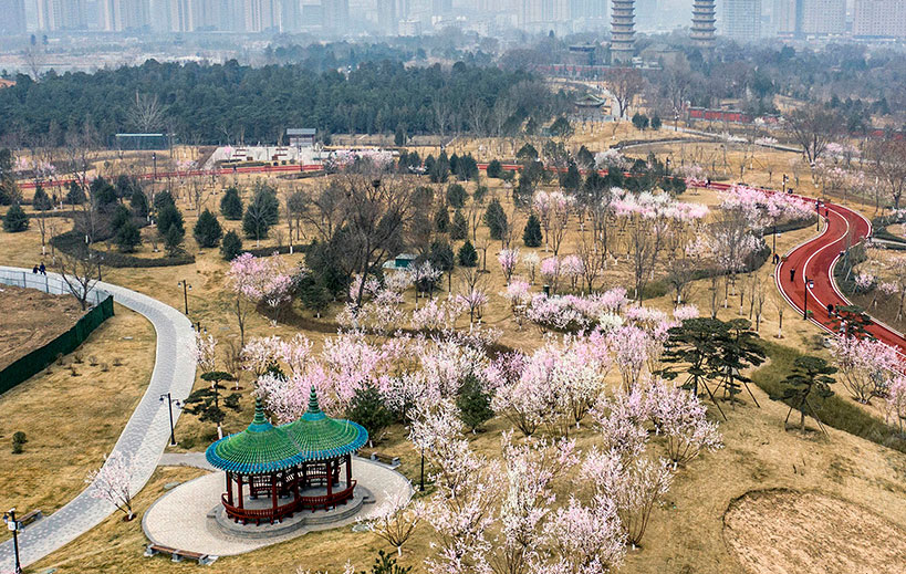 航拍雙塔公園 展現(xiàn)濃濃春意