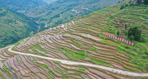 重慶豐都：夏耕美景入畫來