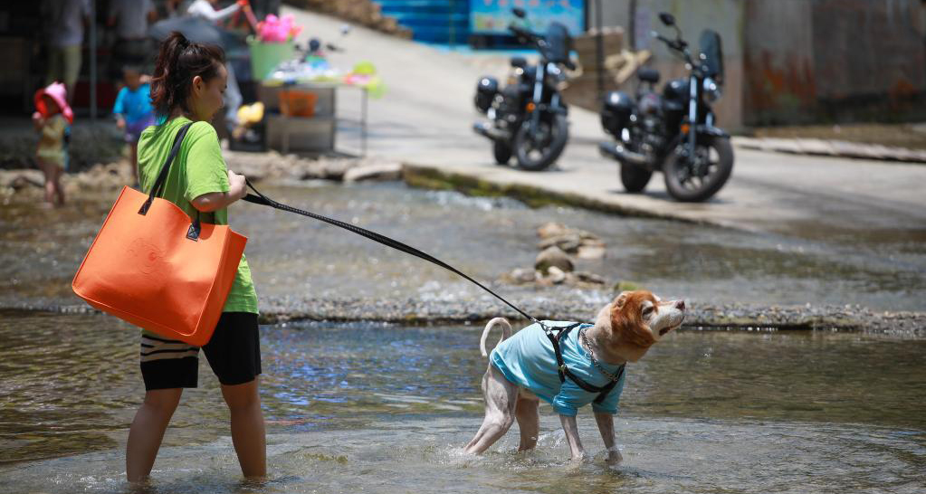 貴陽：夏日親水樂