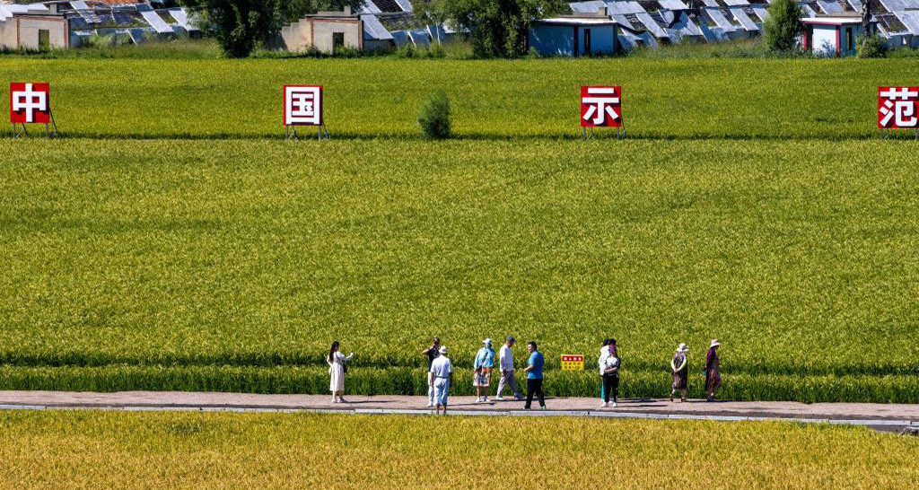 智慧農田讓農業(yè)觀光旅游玩出新花樣