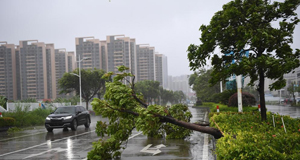 臺(tái)風(fēng)“馬鞍”登陸廣東