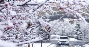 吉林多地迎來降溫降雪