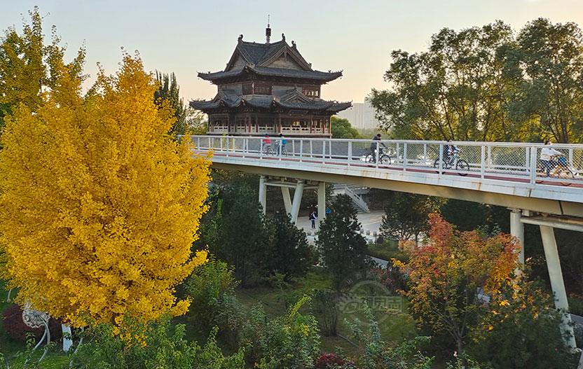 汾河公園秋意濃