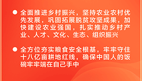 二十大報(bào)告里的這些舉措暖民心