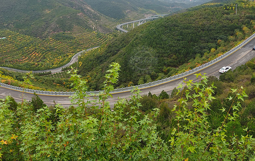 天龍山旅游公路秋色濃