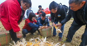 杭州瓶窯舉辦農民豐收運動會