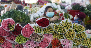 新年臨近 花卉俏銷(xiāo)