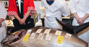 日本“大間金槍魚(yú)”贏得新年首拍最高價(jià)