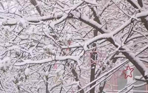 汾西迎來(lái)立春后首場(chǎng)降雪