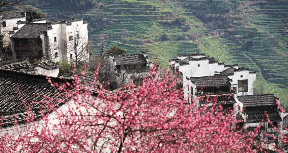 春到婺源