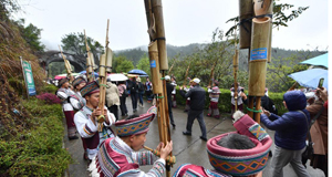 “粵桂協(xié)作”旅游專列開進(jìn)大苗山