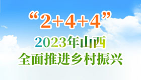 【圖解】“2+4+4” 2023年山西全面推進(jìn)鄉(xiāng)村振興