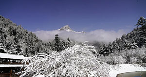 春雪潤官鵝