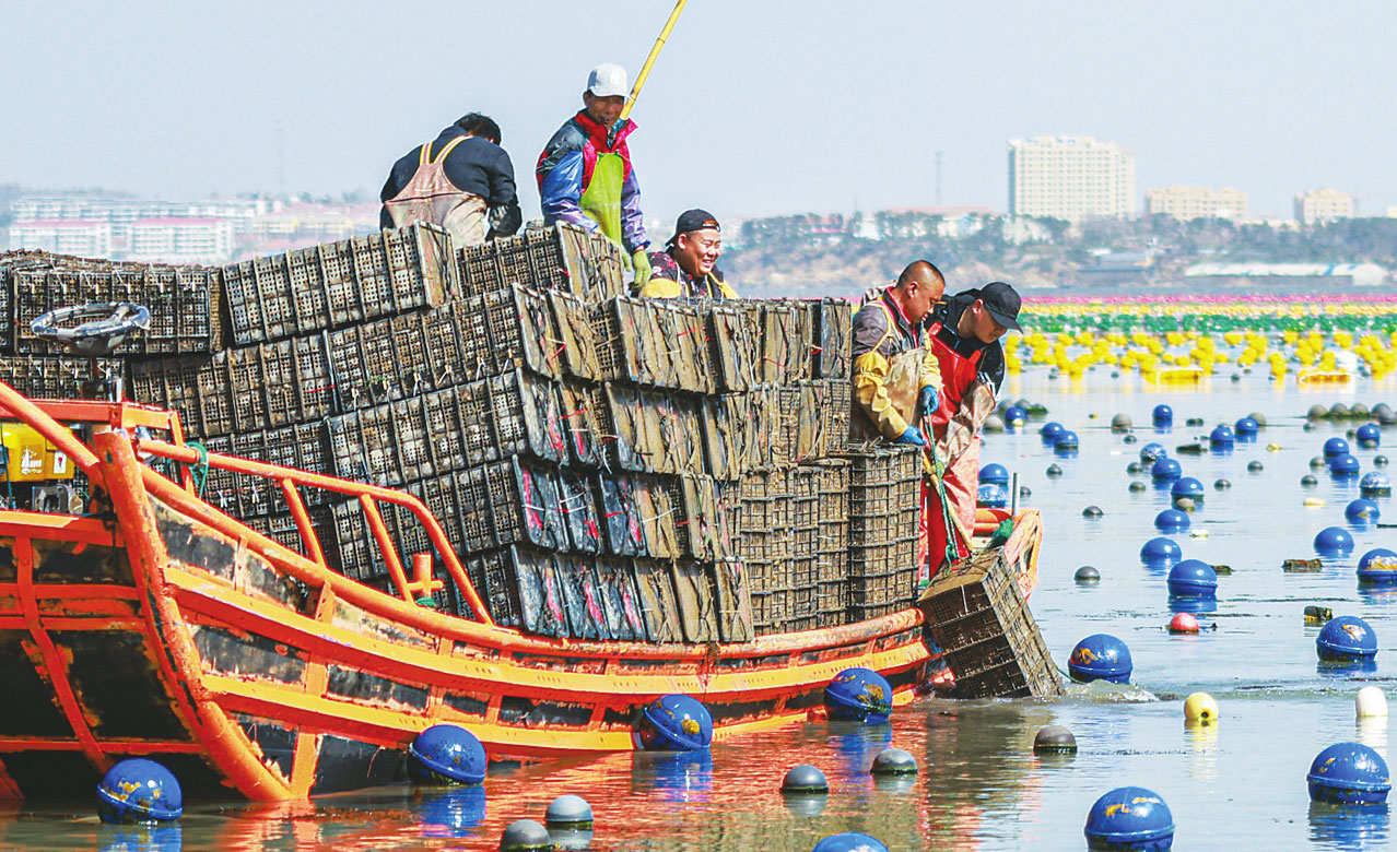 鮑魚(yú)養(yǎng)殖轉(zhuǎn)場(chǎng)忙