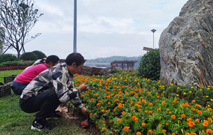 山西陽城：鮮花扮靚城市