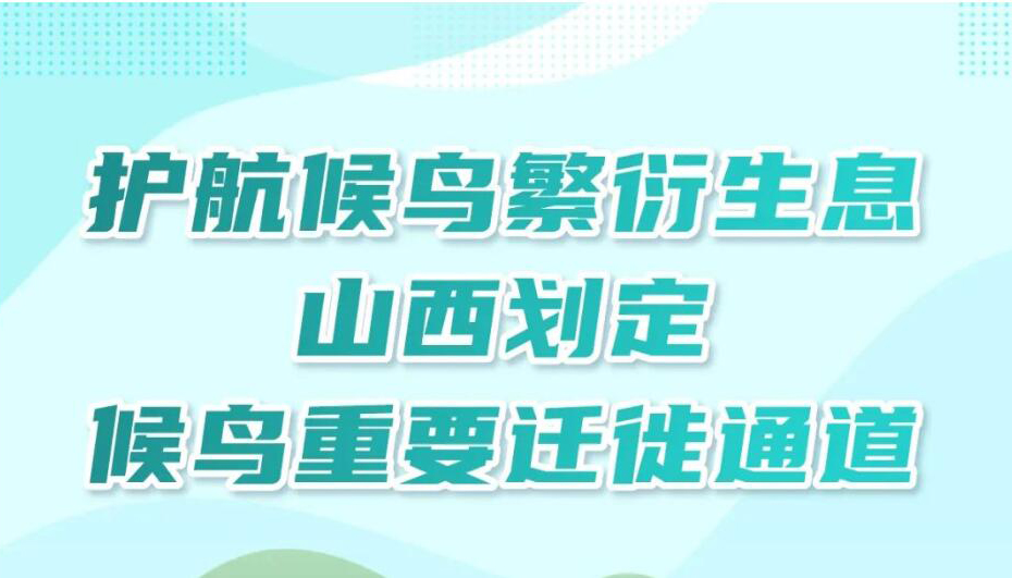 【圖解】山西劃定候鳥(niǎo)重要遷徙通道