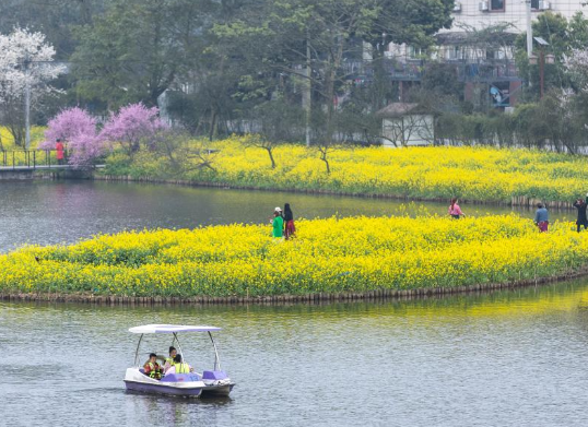 重慶：暖風微拂 花開大地