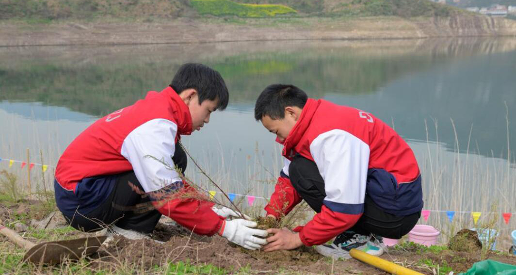 3000株珍稀瀕危植物回歸三峽庫區(qū)