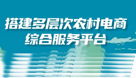 【海報】六方面助力農民收入和農村消費雙提升