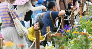 2024粵港澳大灣區(qū)花展在深圳開(kāi)幕