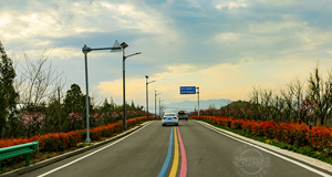 沿黃旅游公路春景如畫