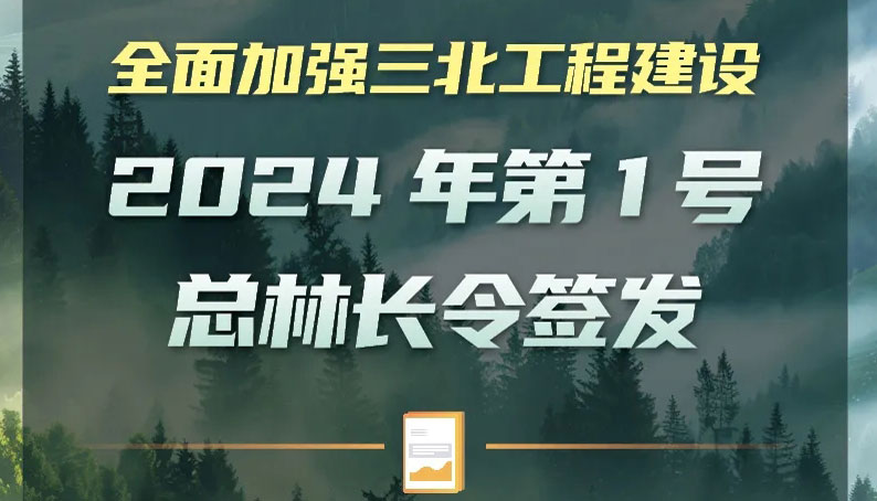 全面加強(qiáng)三北工程建設(shè) 2024第1號(hào)總林長令簽發(fā)