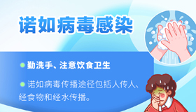 【海報】小貼士！注意預防夏季多種疾病