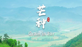 【雙語(yǔ)海報(bào)】芒種：忙有所獲，種有所得