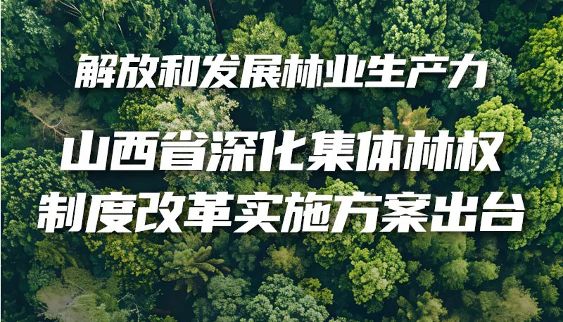 【圖解】山西省深化集體林權制度改革實施方案出臺