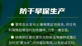 【海報】科學應對旱澇！山西印發(fā)預案奪取糧食豐收