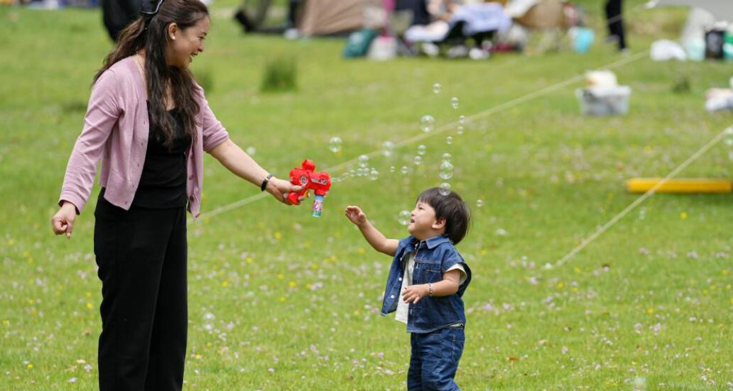 西藏林周縣：“神秘樹(shù)林”游客多