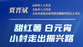 【海報】看人大代表如何建言獻策，點亮發(fā)展之路！